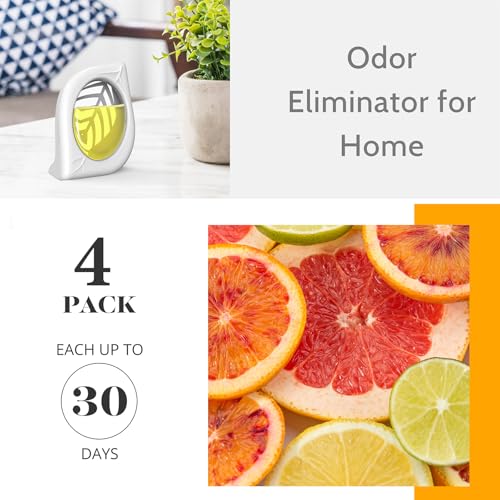 Image of Air Freshener for Home, 4 Pack, Citrus, Odor Eliminator for Small Area Closets Bathroom Pets Strong Odor, Up to 120 Days