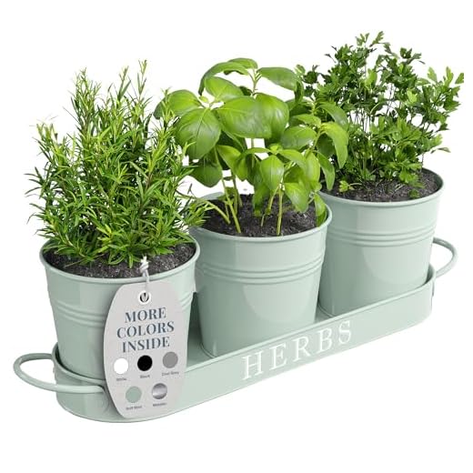 23+ Inspiring Backyard Kitchen Ideas to Elevate Your Outdoor Cooking Experience 6 Barnyard Designs Indoor Herb Garden Planter Set with Tray, Metal Windowsill Plant Pots with Drainage for Outdoor or Indoor Plants, Set/3 (Soft Mint)