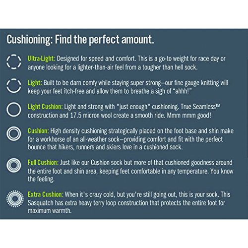 Darn Tough Men's Wool Micro Crew Cushion (Style 1466) - 6 Pack (X-Large, Charcoal)3