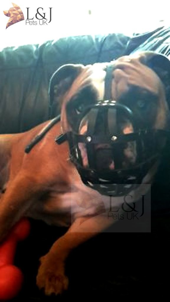 L&J Pets UkLight leather Dog Muzzle for English Bulldog and Other dogs with short snout