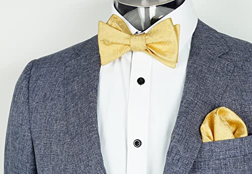 Image of Alizeal Mens Paisley Adjustable Bow Tie Set | Pre-tied Cummerbund Pocket Square Perfect for Weddings Business Formal Events