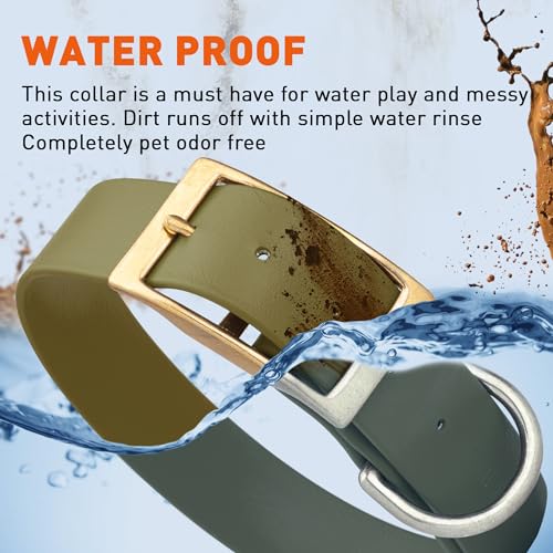 Image of Viper Biothane Heavy Duty Waterproof Dog Collar Strong Coated Nylon Webbing w /Solid Brass Hardware Odor-Proof Easy to Clean High Performance Fits Small Medium or Large Dogs, Olive Drab Green