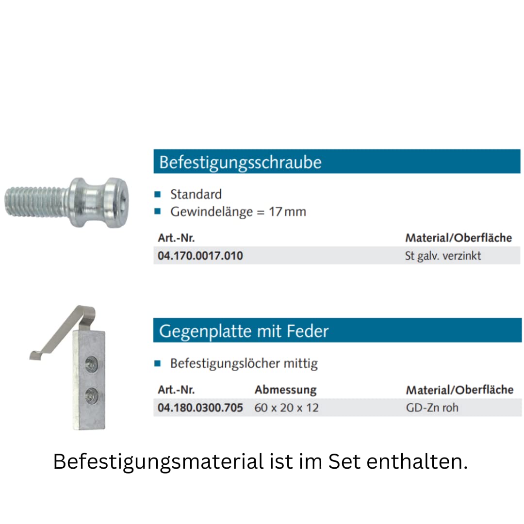 WSS 2D Alu-Türband 3-tlg. Drehpunkt 25/Achse 78 – Art. 04.152.2578.114 | höhen- & seitenverstellbar, Exzenterbuchse ±1,5 mm, E6/C-0 silber eloxiert