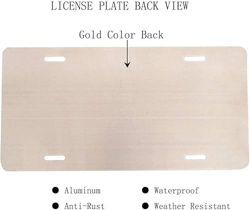 Miniatura 7 de WONDERTIFY placa de matrícula con diseño colorido de pluma de pavo real, placa de matrícula frontal decorativa para el auto, matrícula de metal para