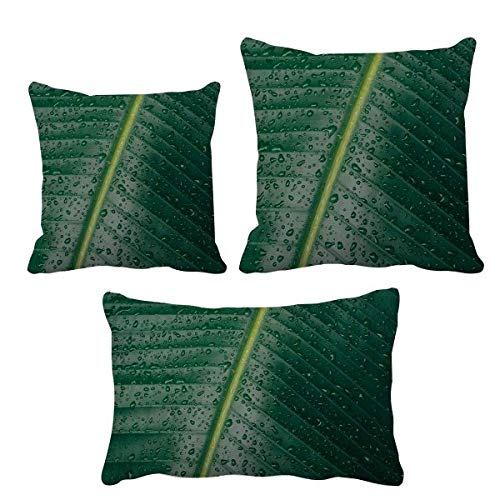 Housse de coussin feuille de bananier imprimé exotique durable