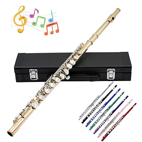 Flautas Profesionales Instrumentos Musicales Chino Dizi Transversal Flauta 16 Hoyos C Tono Clave Flauta Piccolo Flauta De Latón (Color : Silver)