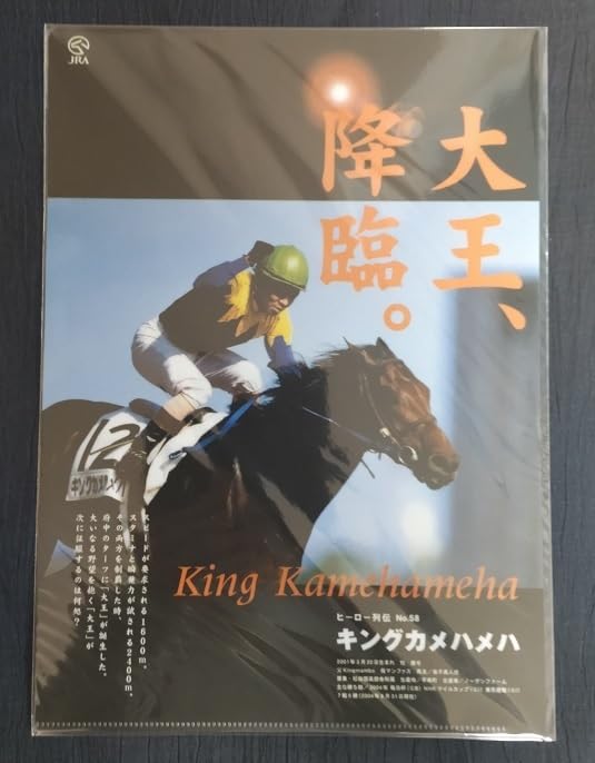 ドウデュース　ヒーロー列伝　クリアファイル　未開封 JRA ヒーロー列伝 クリアファイル ドウデュース - メルカリ