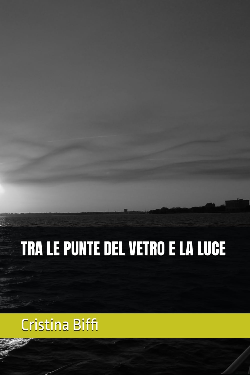 Tra le punte del vetro e la luce