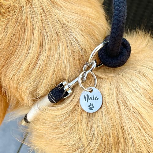 GOLDEN PAW Hundemarke mit Gravur personalisiert, Namensschild mit Telefonnummer, Adresse für Halsband - robuste Tiermarke aus Edelstahl, Dog Tag, Anhänger für Hunde, Katzen, Pferde & Welpen | Silber