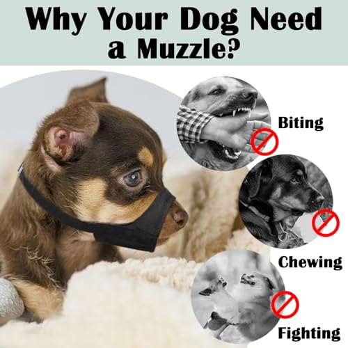 Mayerzon Maulkorb für Hunde mit kurzer Schnauze, weicher Maulkorb für kleine, mittelgroße und große Hunde, Maulkorb für Chihuahua, Shih Tzu, amerikanische Bulldogge zur Fellpflege, Stabiler