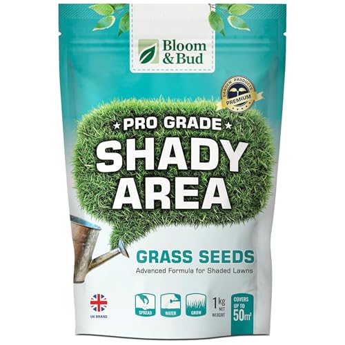 Shady Area Grass Seed 1kg Lawn Seed Mixture for Partial to Full Shade Overseeding Patch Repair & New Lawns Perennial Ryegrass Red Fescue & Meadow Grass Blend Covers up to 50m