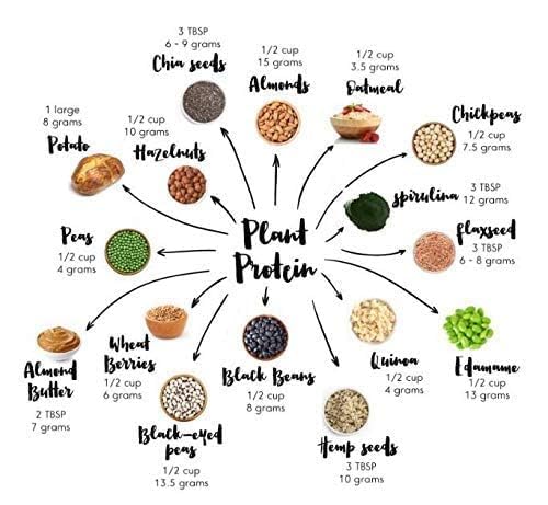 Miniatura 5 de Laxmi - Frijoles de riñón rojo oscuro, hechos puros, hechos frescos, tradición de calidad, producto de Estados Unidos, 4 libras (frijoles oscuros)