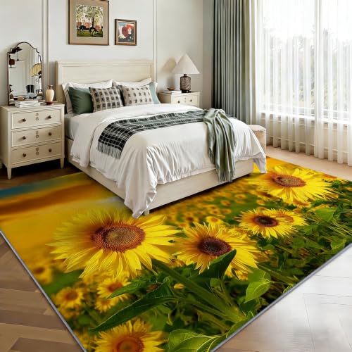 Alfombra lavable anti-alérgica de pelo corto para un dormitorio infantil limpio 5