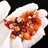 ColouredRocks Fire Opal (100cts) (80+pcs) (8-16mm) Natural Raw Crystals, Loose Gemstone, Wholesale Rough, Jewelry Making Supply, Chakra Healing Stones, DIY Craft, Gem Collection #1