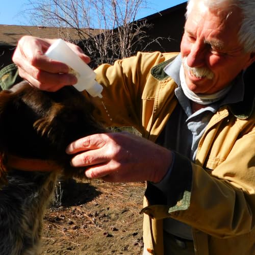 Insider: basic bird dog eye care for the field and forever