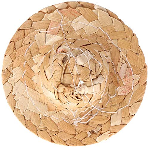 Image of 3 Pcs Handmade Birds Straw Hat Funny Mini Hat for Bearded Dragons Head Wear for Parrot Parakeet Macaw Cockatiels Lovebird