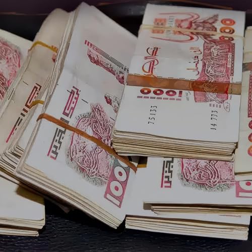 ALG&Eacute;RIE : DANS LA BO&Icirc;TE NOIRE DU DINAR
