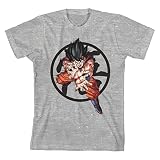 Dragon Ball Z Goku w/Symbol Graphic Youth Boy's Athletic Heather T-Shirt-Large