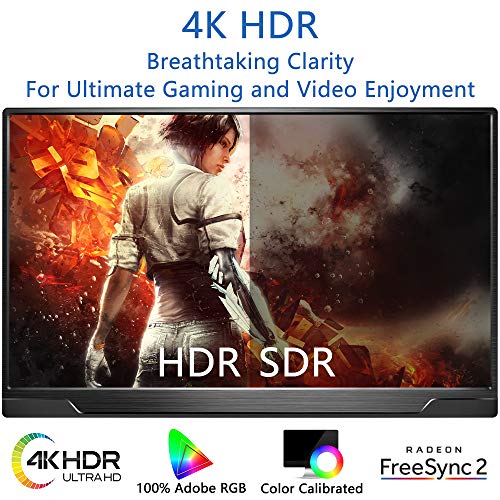 Portable Monitor 4K - 17.3 Inch Uhd Freesync Hdr Ips 100% Adobe Rgb 3840X2160 Lightweight Eye Care Computer Display With Type-C Mini Dp Hdmi For Xbox Ps4/5 Switch Laptop Pc Mac, With Smart Case #TOP6