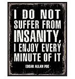 Funny Edgar Allan Poe Quote Wall Art - Goth Room Decor - Decoration for Bedroom, Living Room, Office, Apartment - Cool Unique Gift, Funny Saying - Gothic Home Decor Poster Print Picture Sign