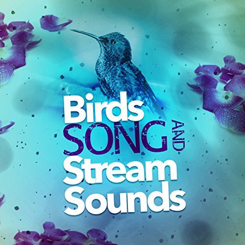 Play Birds Song and Stream Sounds by Calm Bird Sounds on Amazon Music