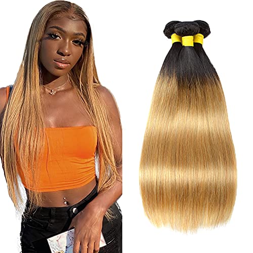 Straight ombre bundles honey blonde bundles 1b/27 Two Tone Blonde Hair 3 Bundles Brazilian Hair Straight Weave Unprocessed Virgin Hair 300g for Women 24 26 28 Inch