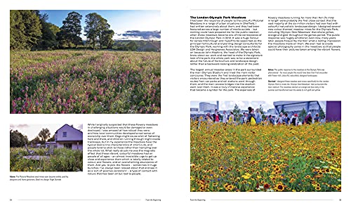 Naturalistic Planting Design - Image 4