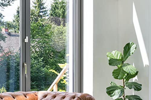 Bosch Smart Home Tür-/Fensterkontakt II Plus, Einbruchschutz mit smartem Sensor zur Erschütterungserkennung, kompatibel mit Amazon Alexa und Google Assistant, weiß