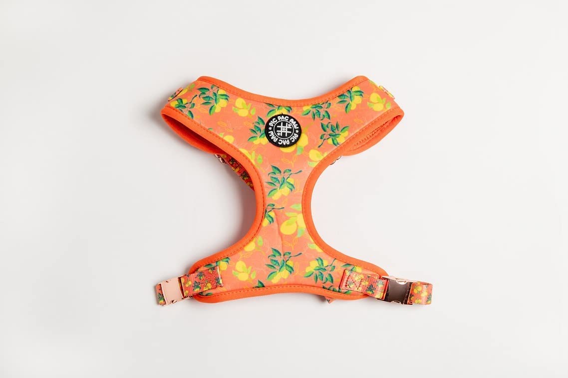 Squeeze Please Collection- Adjustable Harness for Small, Medium and Large Dogs… (XXS)