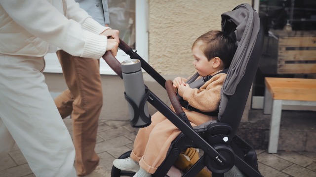 Nacelle Hauck Pour Poussette Walk N Care - Pour Nouveau-né Jusqu'à 9 Kg, Capote UPF 50+, Fenêtres Panoramiques, Rembourrage Doux