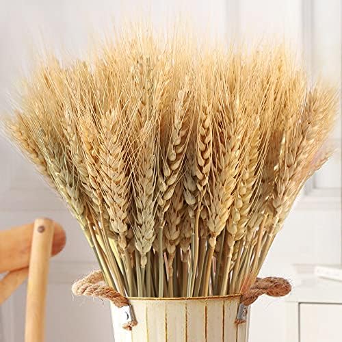 Famibay 100pcs Natural Dry Flowers Wheat Grass Bouquet Plant Dried Wheat Sheaves Bunch Dry Wheat Stalks Bundle Artificial Flower for Home Table Wreath Arrangements(40cm, 100PC)