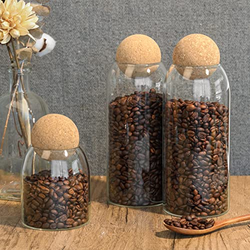 Comsaf 480Ml/16Oz Glass Storage Container, Round Cork Glass Bottle, Small Candy Jar With Wood Ball Lid For Food, Coffee, Sugar, Spice, Tea, Diy Decoration, 3Pcs #TOP6