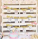 🎀 Foto Banner Paket beinhaltet: 1 x 12 Monate Foto Banner, 1 x Papst.