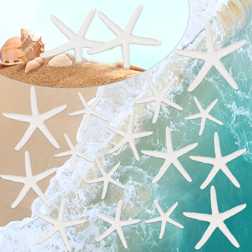 20 estrellas de mar decorativas para dedos, estrellas de mar, animales marinos, decoración al aire libre, mini estrellas de mar, para bodas, playa, fiestas temáticas, decoración del hogar,