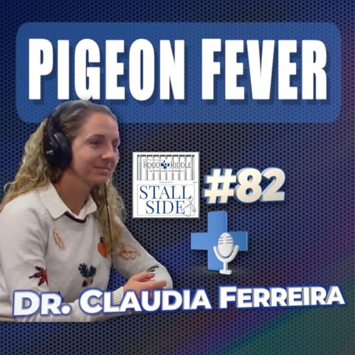 Pigeon Fever in Horses: Causes, Treatment, and Prevention | Dr. Claudia Ferreira &ndash; Rood & Riddle
