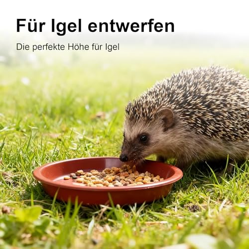 Billowvolve 4 Stück Hedgehog Food & Water Bowl 13cm Breite Low-Profile 2cm Tiefe Design, Wetter & Frostbeständig, geeignet für Outdoor Wildlife Garden Verwendung