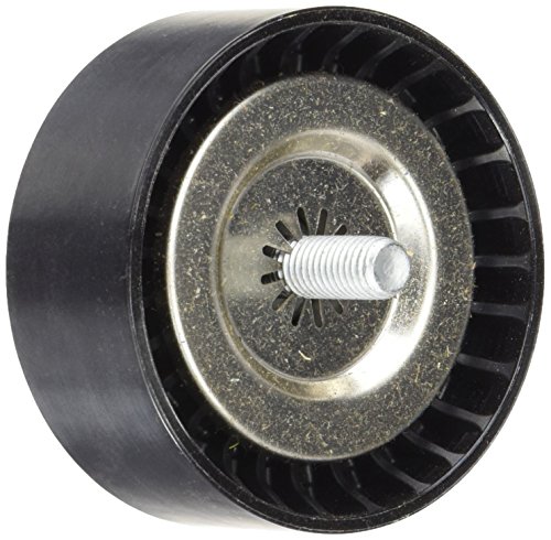 SNR ga35160 Puleggia inversione per cinghia poli V