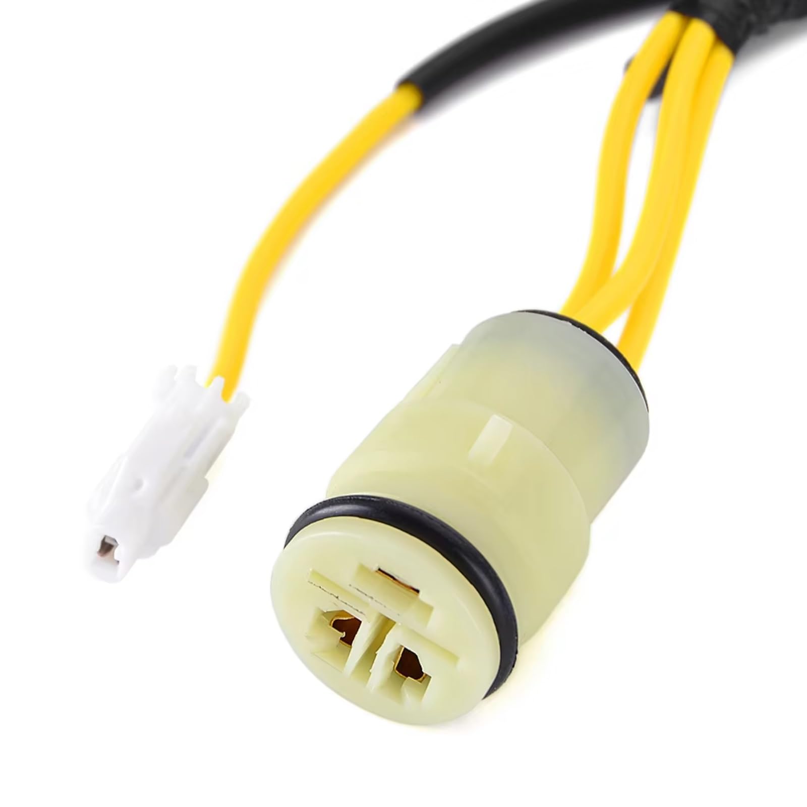 Amazon | ステータコイル For Ninja For ZX-12R 2002 2003 21003-0011