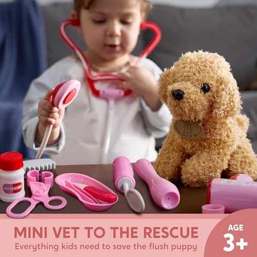 Image of SYNCFUN Doctor Kit for Girls, 22 PCS Veterinarian Playset for Kids, Vet Kit with Dog Toy, Stethoscope, Storage Bag and Accessories, Role Play for Kids 3 4 5 6 Birthday Gifts