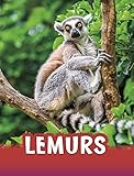 Lemurs (Animals)