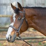Equinavia Saga Wide Noseband Hunter Bridle with Reins - Chocolate Brown - Horse
