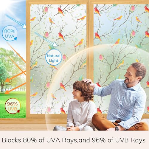 Image of WOO Home Frosted Glass Window Film & Stickers (12 X 60 Inchs) Privacy Window Cover for Home & Office - Easy Apply, UV Protection, Removable Decorative Film (Multi Colour Bird 1 X 5 SQFT)