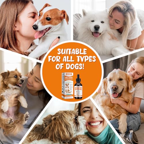 Kollagen Hund, Collagen for Dogs, Flüssiges Kollagen für Hunde, Fördert die Gelenkgesundheit und Beweglichkeit, lindert Hautallergien und Juckreiz,Unterstützt die Gesundheit von Gelenken,Haut und Fell
