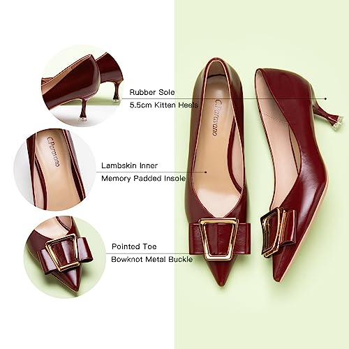 C.Paravano Women's Pumps | Pointed Toe Kitten Heel | Wedding Shoes with Metal Buckle | Soft Leather Pumps for Office Attire, Cocktail Parties,Date Nights4