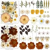 Zoom IMG-2 youthbro set di 148 fiori Zoom IMG-2 youthbro set di 148 fiori