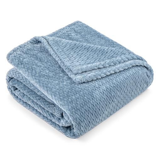 PAVILIA Soft Fleece Dusty Blue Throw Blanket for Couch Lightweight Plush Warm Blankets for Bed Fuzzy Cozy Flannel Blanket Throw for Sofa Travel Jacquard Pattern Dusty Blue Twin 60x80 inch