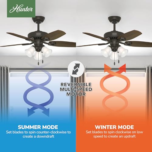 Image of Hunter Builder, Indoor, Ceiling Fan, with LED Lights, 42 inch, New Bronze