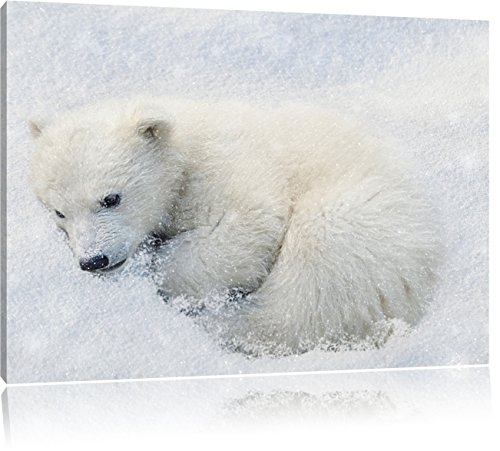 Pixxprint Sweet Jeune Ours Polaire dans la Neige, Format: 120x80 sur Toile