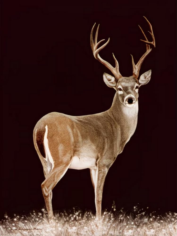 COKYIS Stamped Cross Stitch Kits 11CT Counted Printed Cross Stitch Kit Deer Preprinted Pattern Embroidery Starter Kit for Beginner and Adults 40x50cm