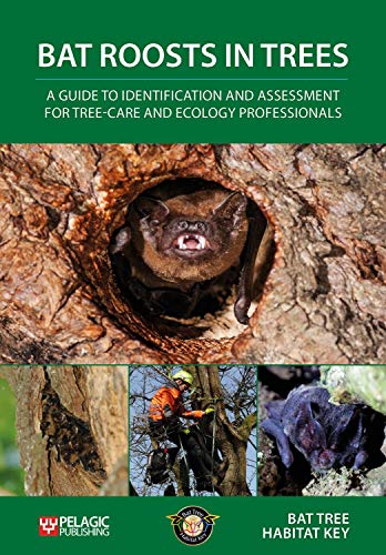 Bat Roosts Trees: Guide Identification